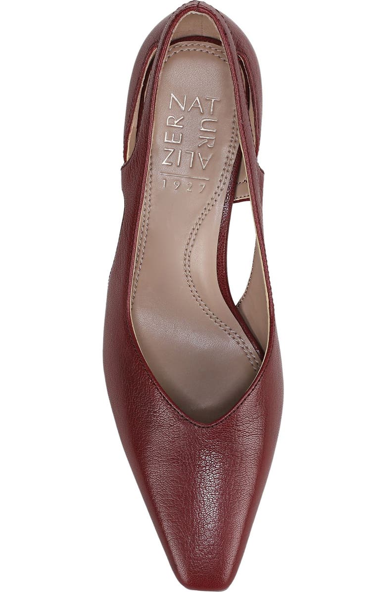 Naturalizer Gracie Pointed Toe Pump, Alternate, color, Cranberry Leather