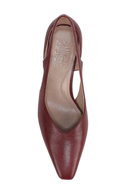 Naturalizer Gracie Pointed Toe Pump In Burgundy