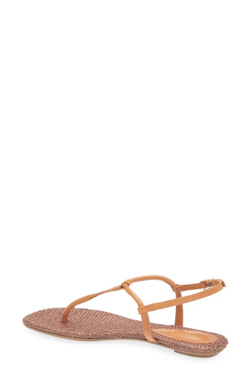 Schutz Elsha Ankle Strap Sandal In Cuoio Brown