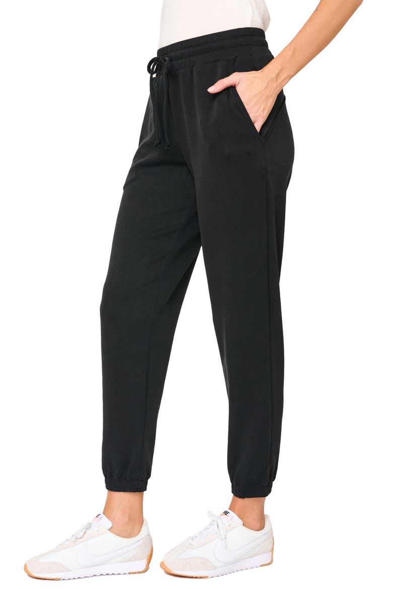 Easy Everywhere Joggers, Alternate, color, BLACK