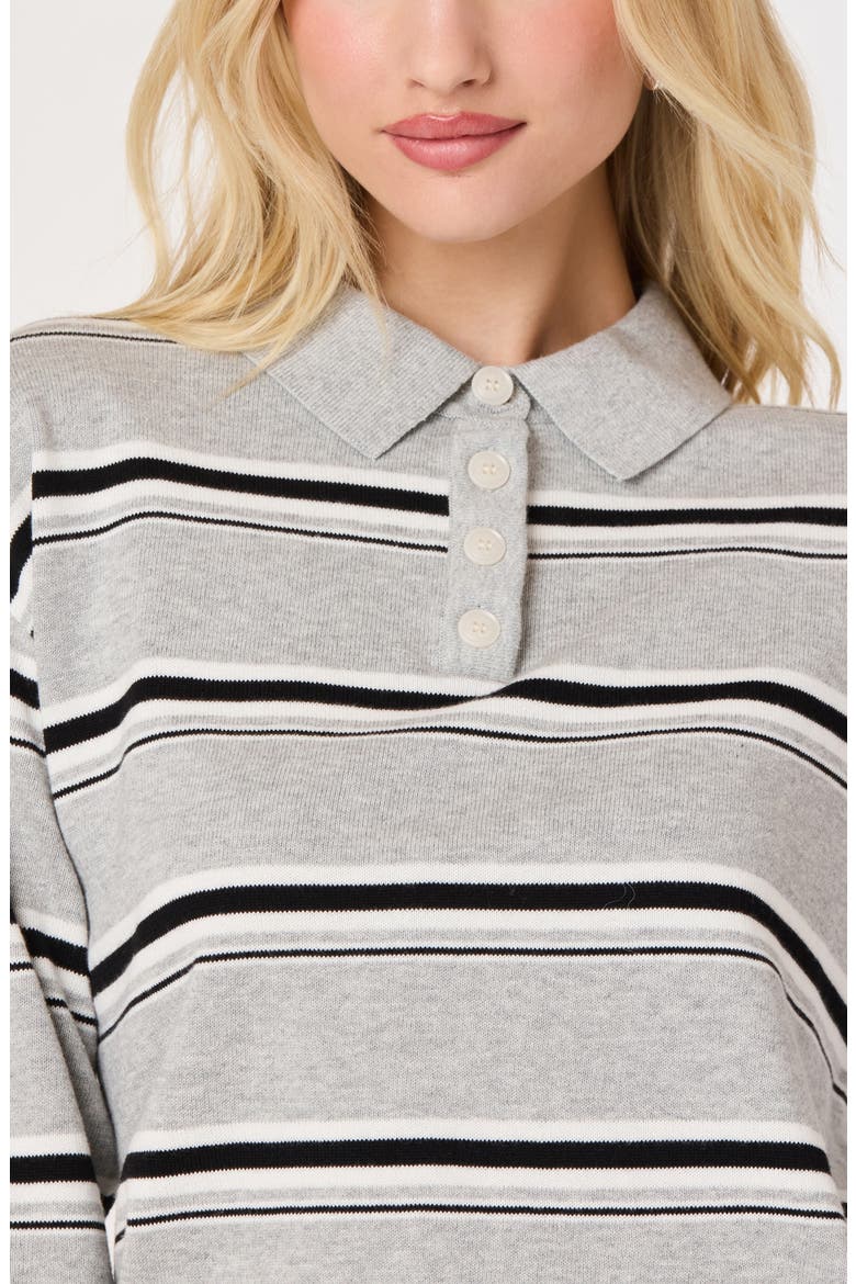 Stripe Long Sleeve Cotton Polo, Alternate, color, GREY STRIPE