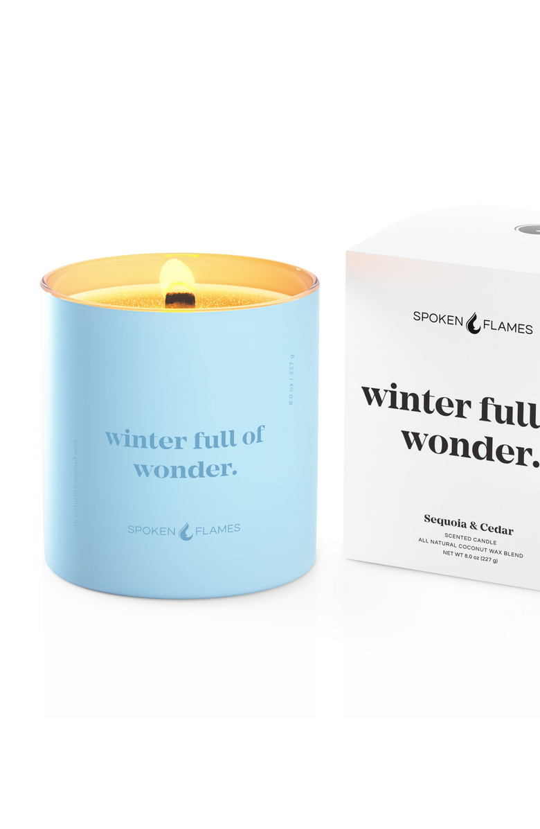 Spoken Flames Winter Full of Wonder Candle, Alternate, color, Light Blue