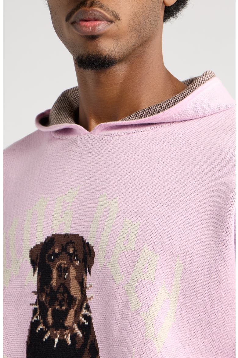 Graphic Cotton Knit Hoodie, Alternate, color, PINK