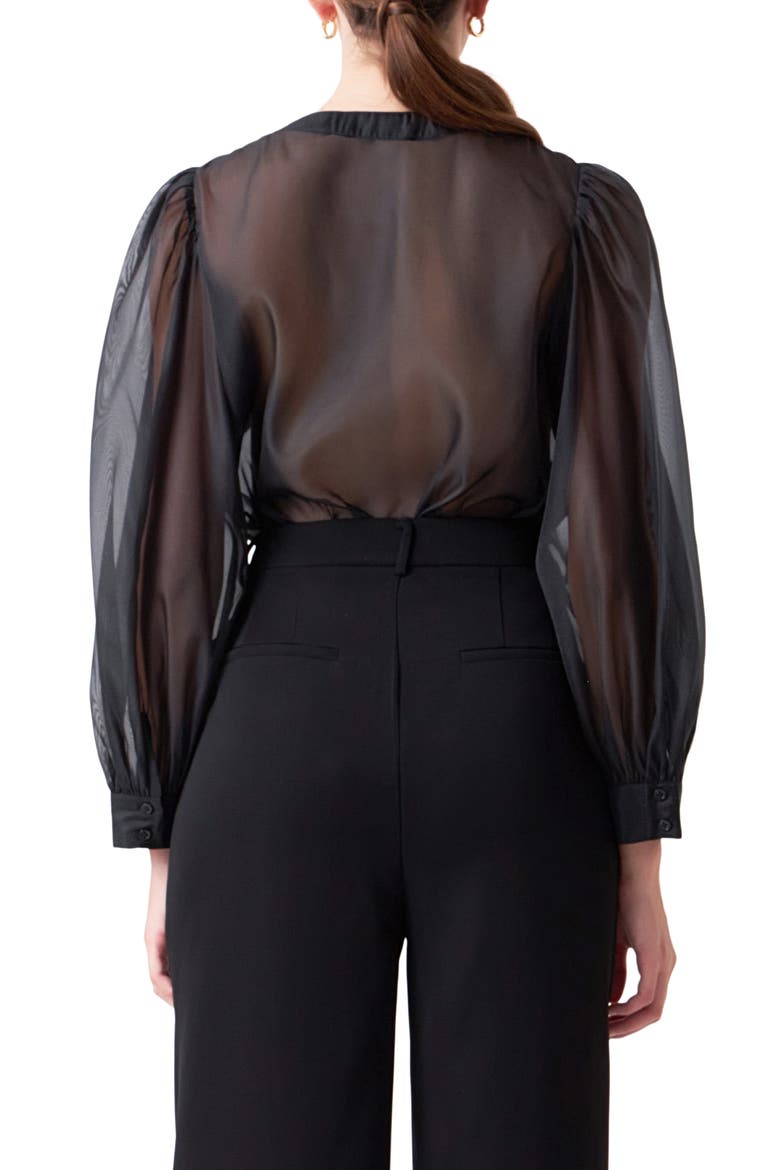 Sheer Organza Top, Alternate, color, BLACK