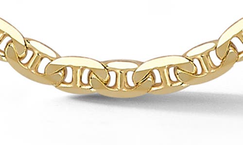 Yield Of Men 4mm Mariner Chain Necklace In Gold