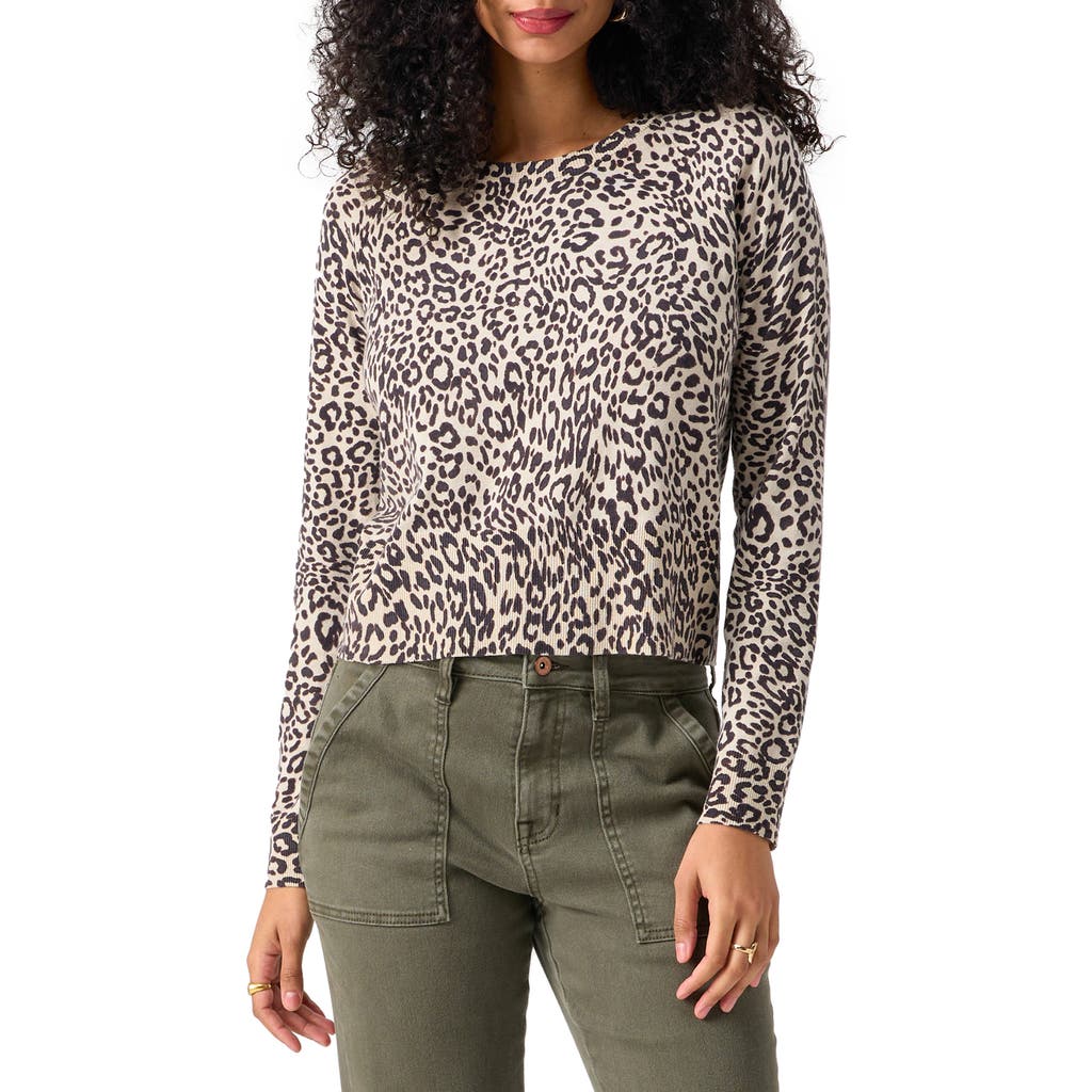 Sanctuary All Day Long Sweater In Gentle Spo