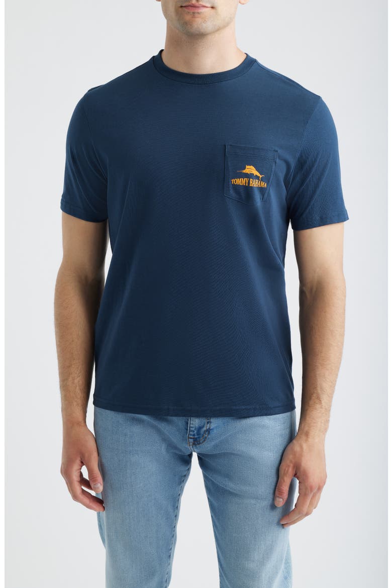 Plays Well with Otters Pocket Graphic T-Shirt, Main, color, NAVY