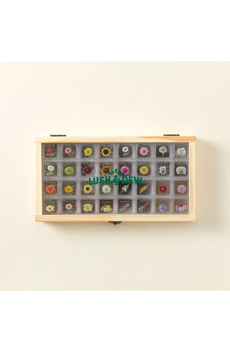 Uncommon Goods Endless Bouquets Gardener's Seed Bank Set, Main, color, 