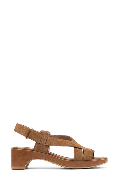DONALD PLINER DONALD PLINER ROMIN SLINGBACK SANDAL