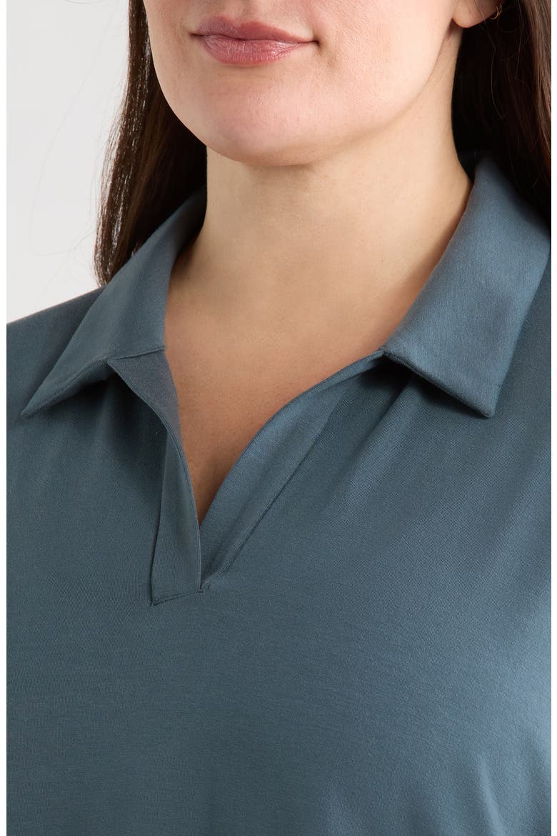 Boxy Henley Jersey Top, Alternate, color, EUCALYPTUS