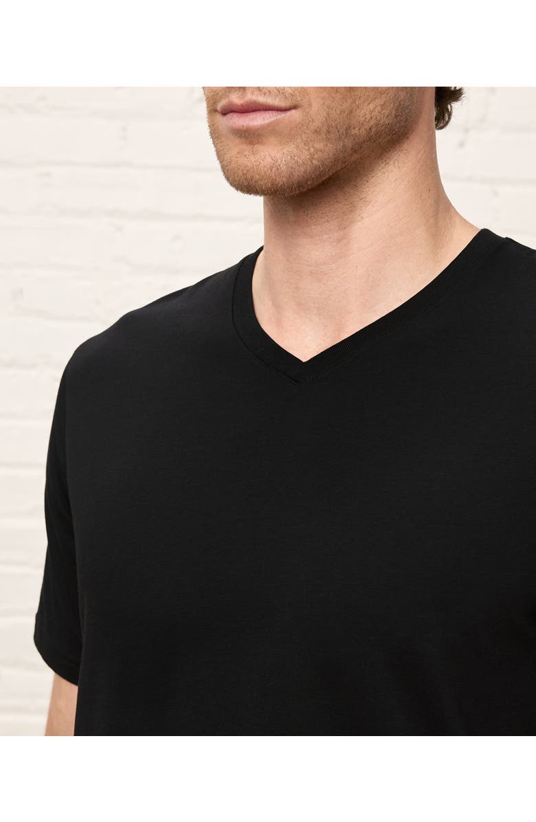 Pact Organic Cotton Men's Softspun Essential V-Neck Tee, Alternate, color, Black