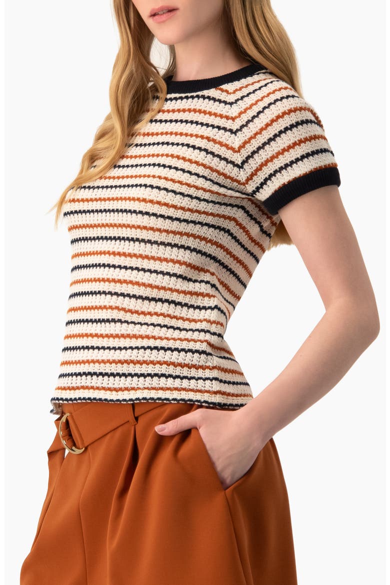 Striped Knit Crewneck Blouse, Alternate, color, Ivory