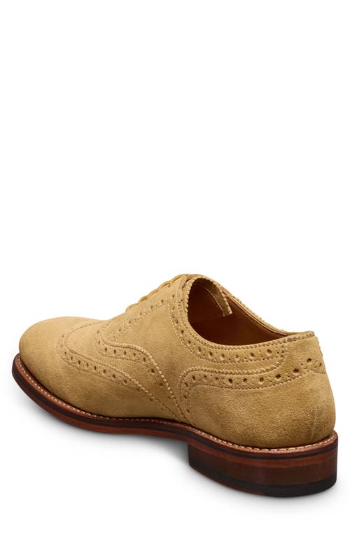 Allen Edmonds Hendrix Wingtop Oxford