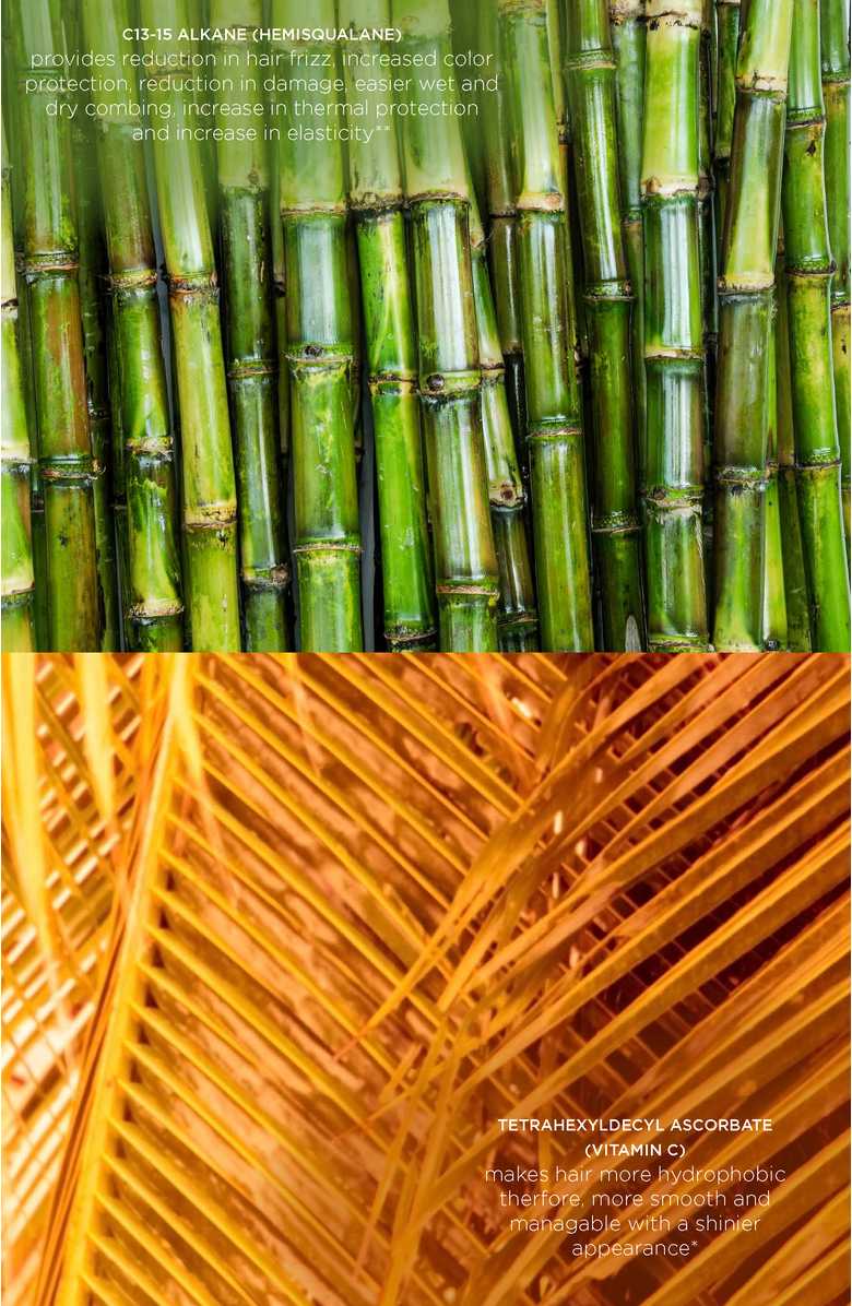 Intelligent Nutrients Shine Bright Vitamin C Hair Oil, Alternate, color, NO COLOR