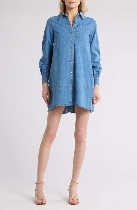 Adette Long Sleeve Denim Shirtdress