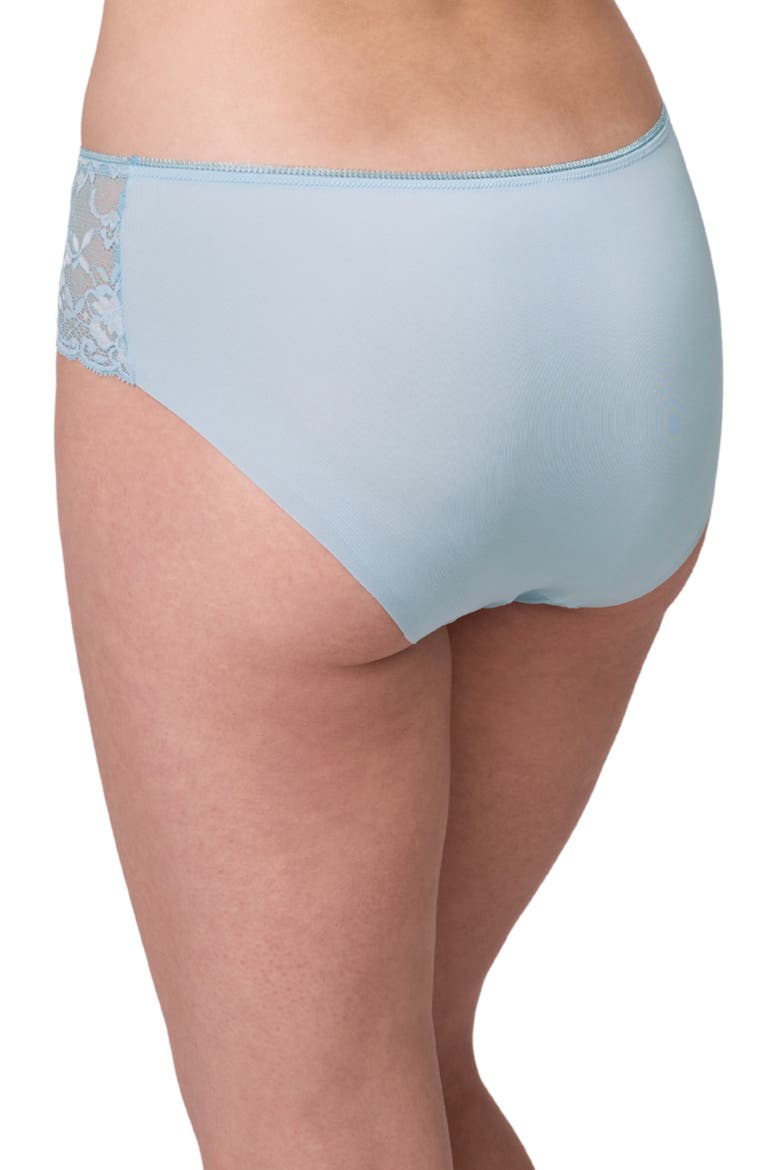Nudies Floral Lace Trim Hipster Panties, Alternate, color, DEWDROP/ CHANTILLY
