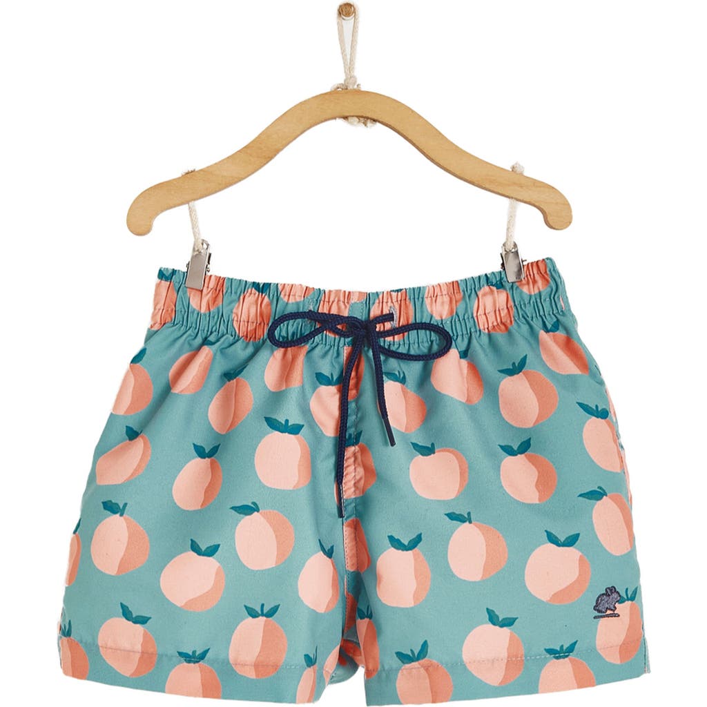 Babycottons Beach Swim Trunks In Green