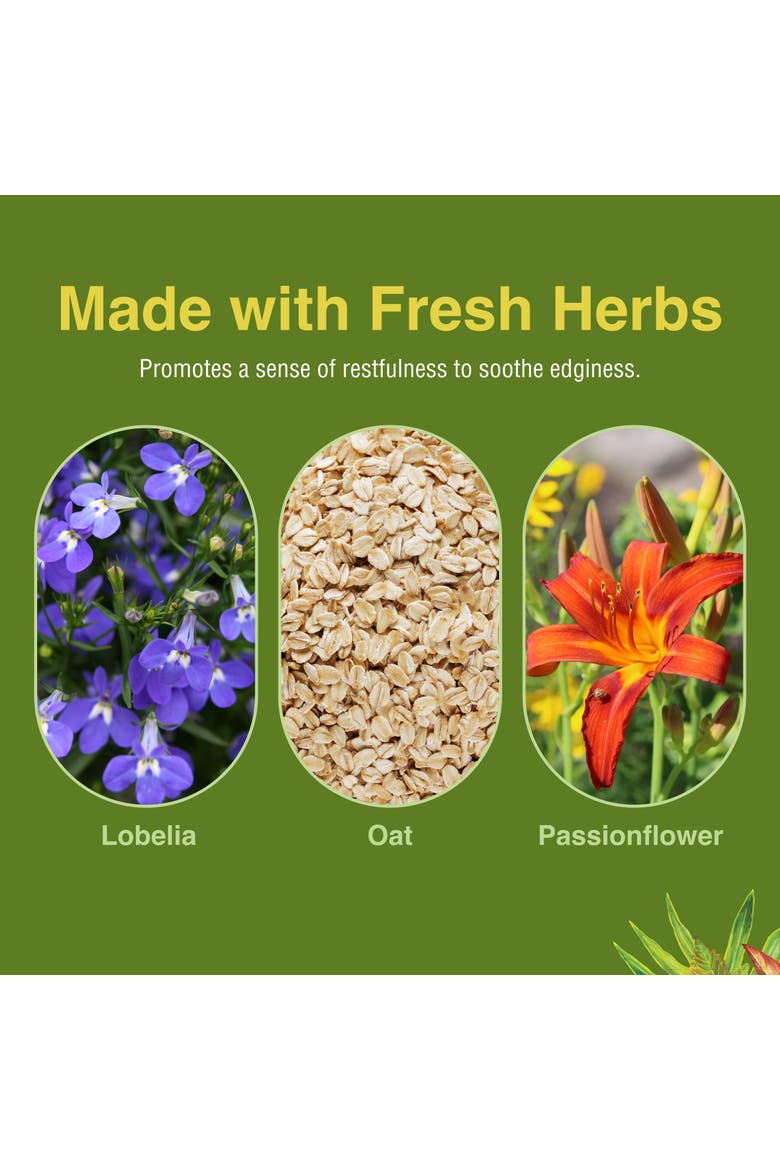 Smoke Free - Support While Quitting - Healthy Respiratory System Support - Aids Against Edginess & Unpleasant Attitudes - 60 Softgels, Alternate, color, No Color