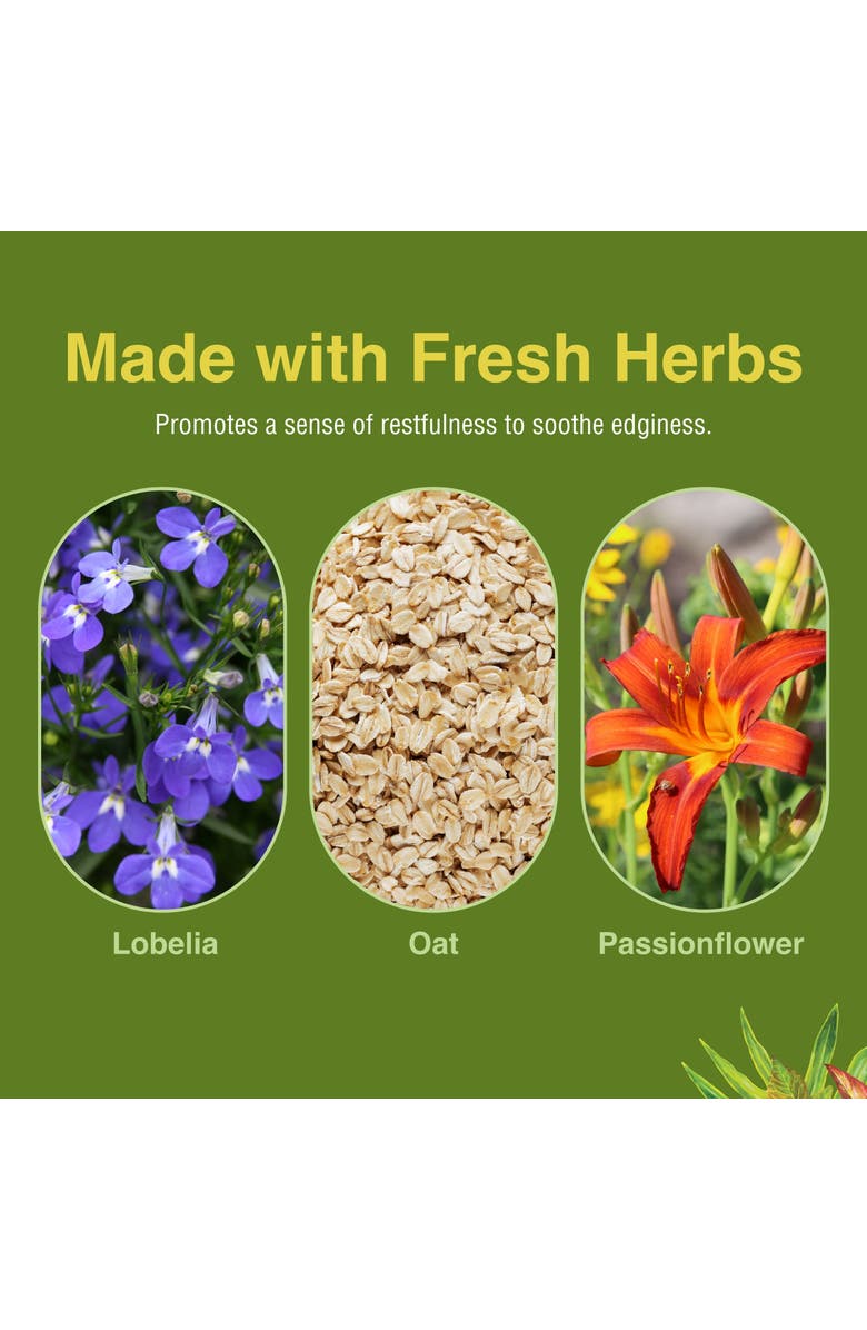 Trace Minerals Smoke Free - Support While Quitting - Healthy Respiratory System Support - Aids Against Edginess & Unpleasant Attitudes - 60 Softgels, Alternate, color, NO COLOR