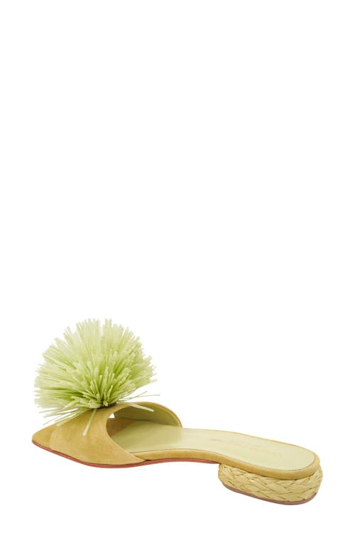 Andre Assous André Assous Rayni Slide Sandal In Pistachio