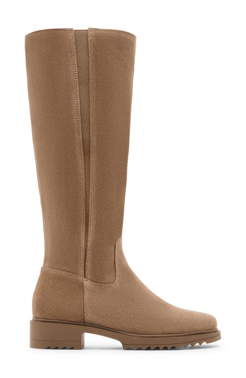 Blondo Ciana Waterproof Knee High Riding Boot In Brown