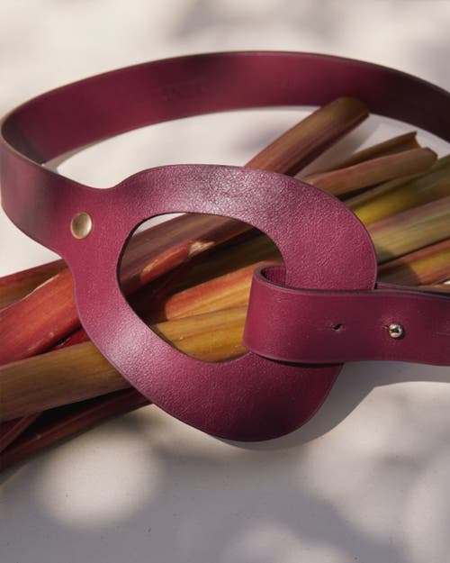 Vaincourt Paris La Savoureuse Belt In Red