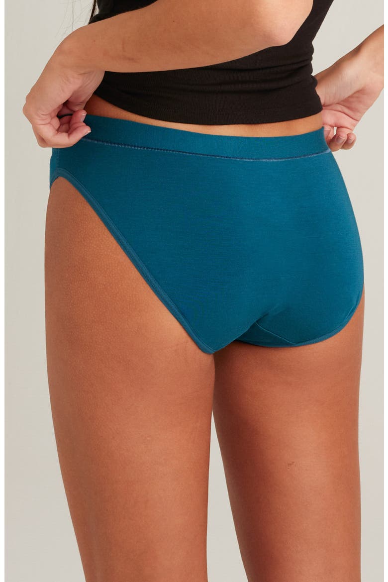 Period & Leakproof Regular Absorbency Comfort Bikini, Alternate, color, BLUE