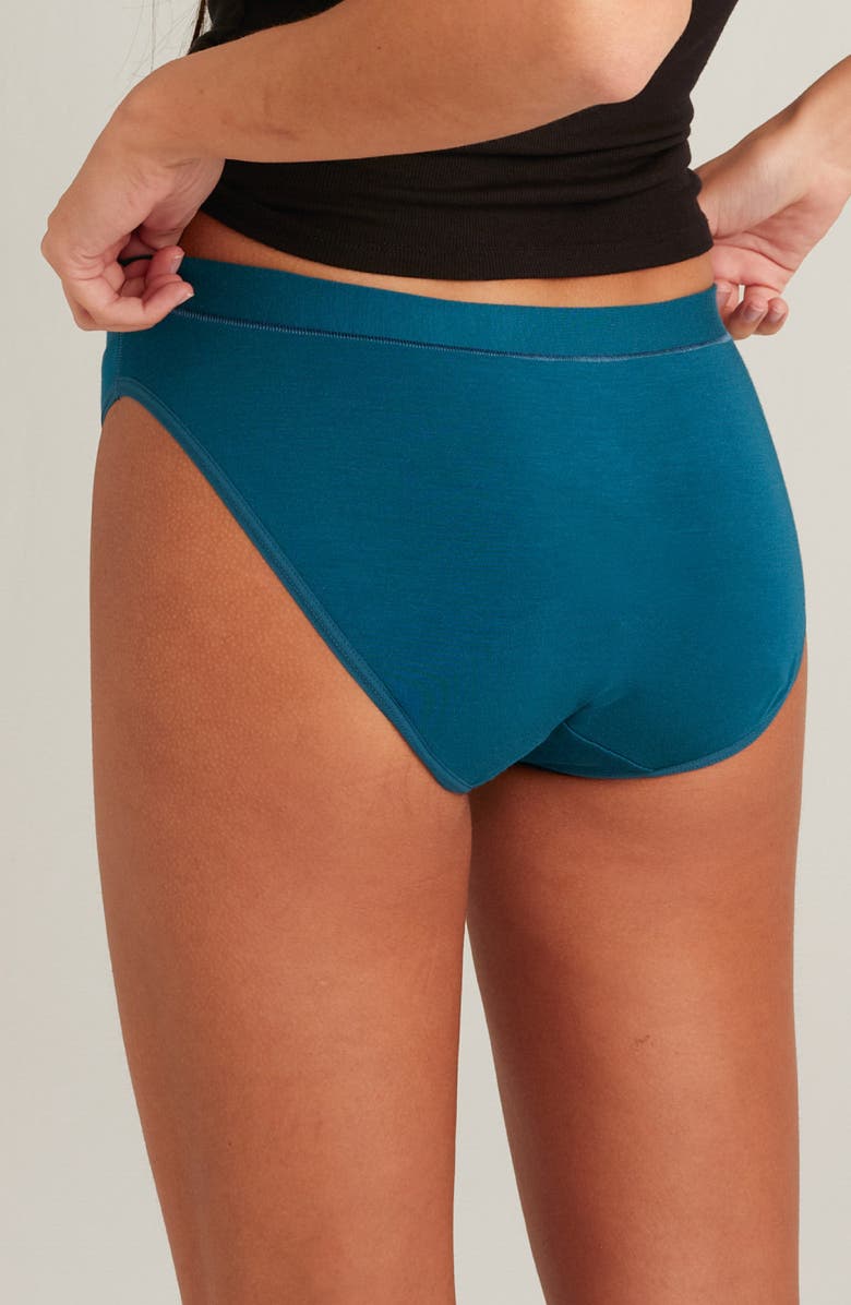 Saalt Period & Leakproof Regular Absorbency Comfort Bikini, Alternate, color, Blue