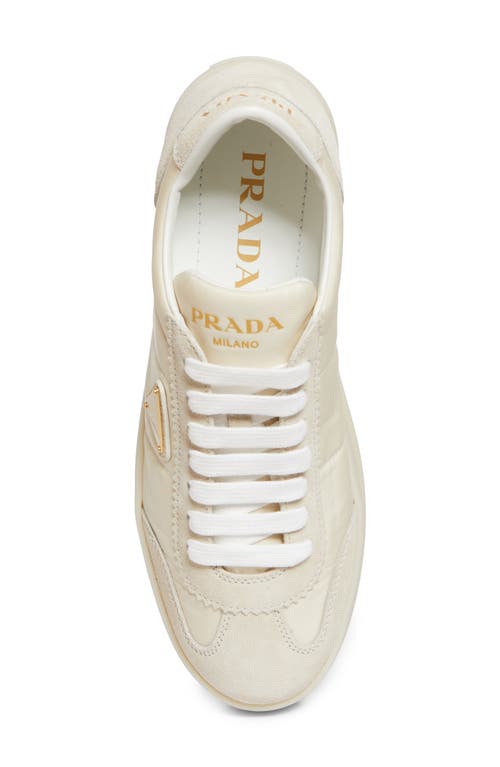 Prada Flatform Downtown Logo Platform Sneaker In Multi