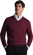Charles Tyrwhitt Merino V-Neck Sweater