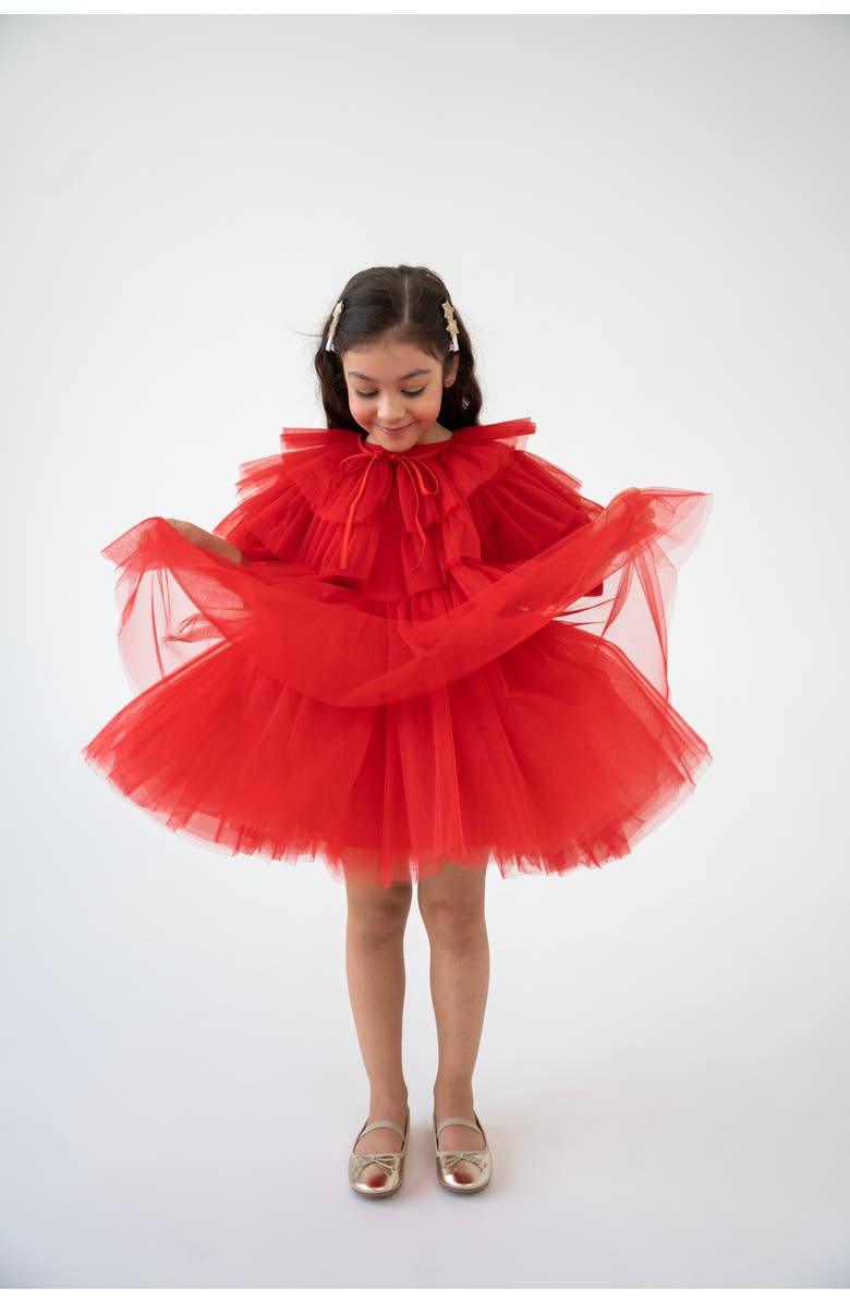 Mini Celebrities Heart Tulle Dress Set, Alternate, color, Red Love