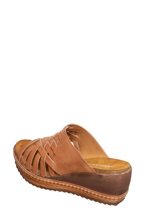 Antelope Daley Wedge Sandal In Taupe