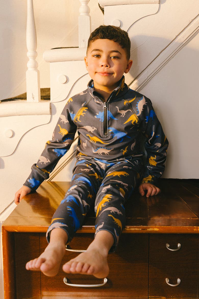 Two Piece Dinosaur Brushed Half-Zip Top & Pants Thermal Underwear, Alternate, color, Grey and Blue Dinosaur Print