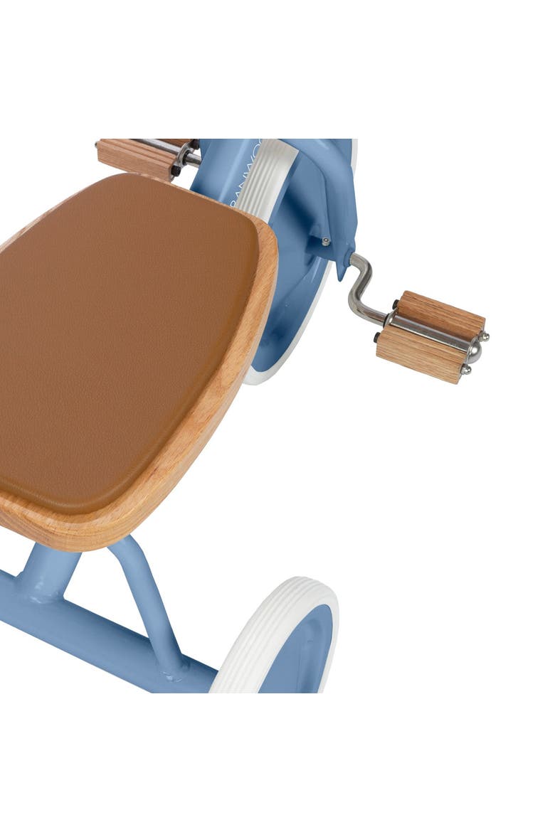 Trike, Alternate, color, Blue