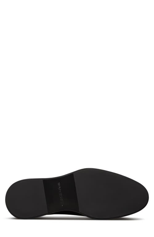 Wolf & Shepherd Closer Derby In Black