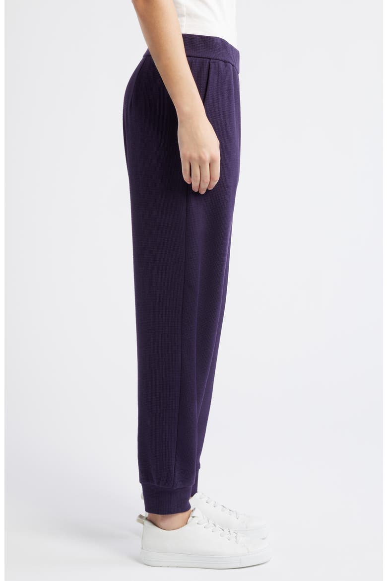 Waffle Knit Joggers, Alternate, color, AUBERGINE