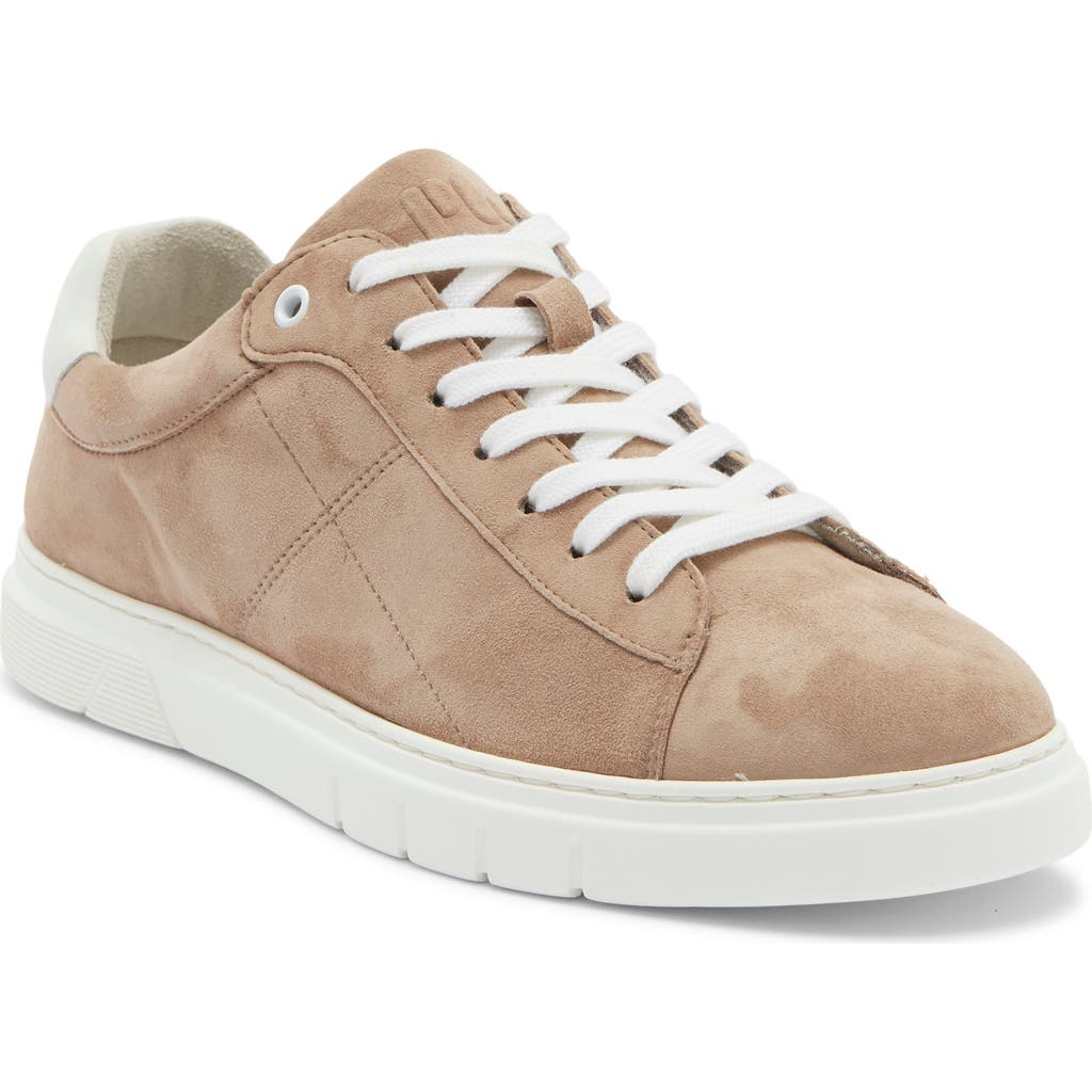 Gabor Rfb 8-eyelet Sneaker In Taupe/ White