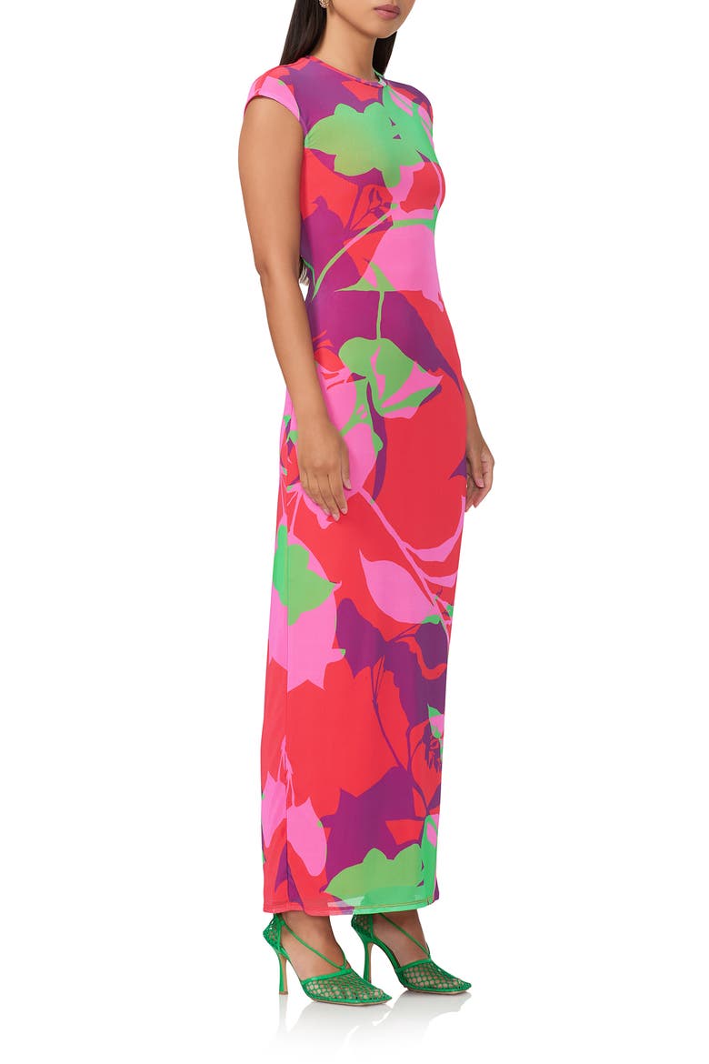 Cody Printed Cap Sleeve Mesh Maxi Dress, Alternate, color, GRAPHIC FLORAL