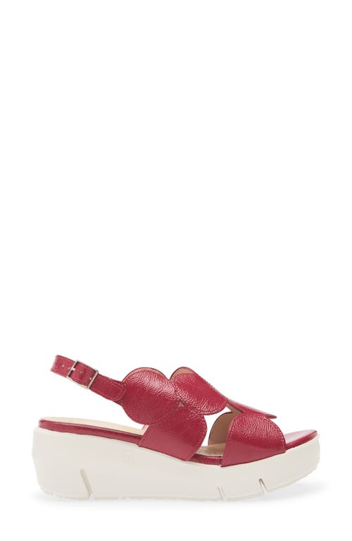 Wonders Platform Sandal In Lack Berry