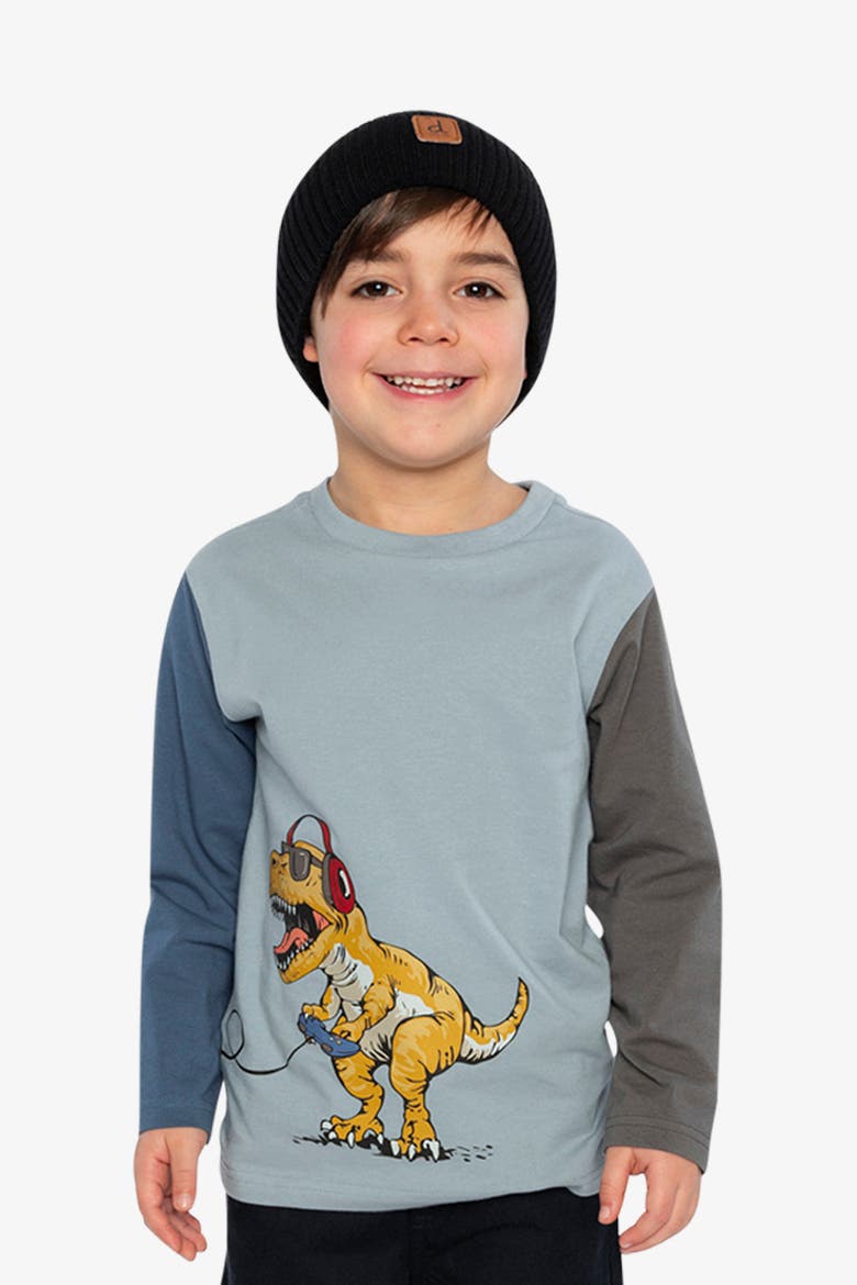 Organic Cotton Crew Neck Dino Graphic Long Sleeve T-Shirt, Alternate, color, Sky Blue