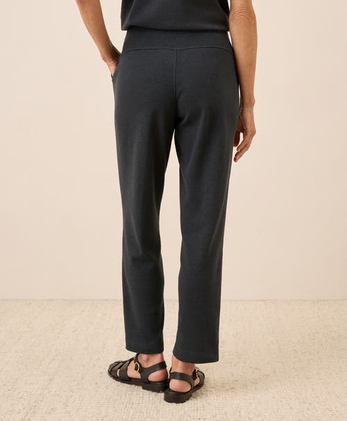 Pact Organic Cotton Airplane Tapered Leg Pant In Gray