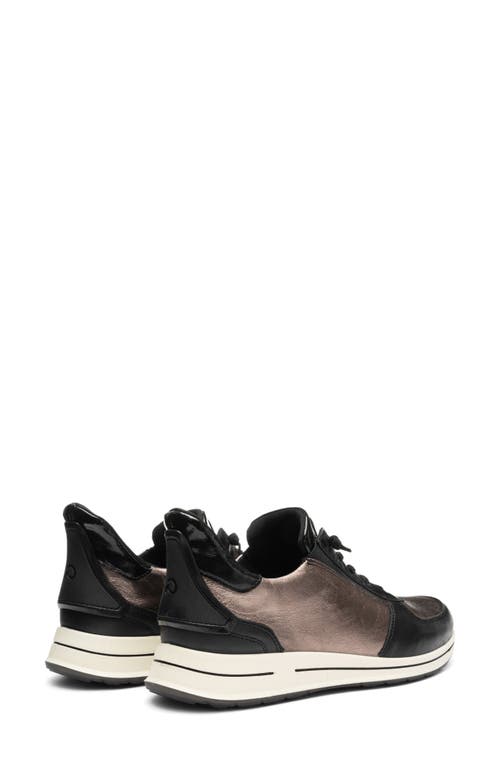 Ara Ovation Sneaker In Multi