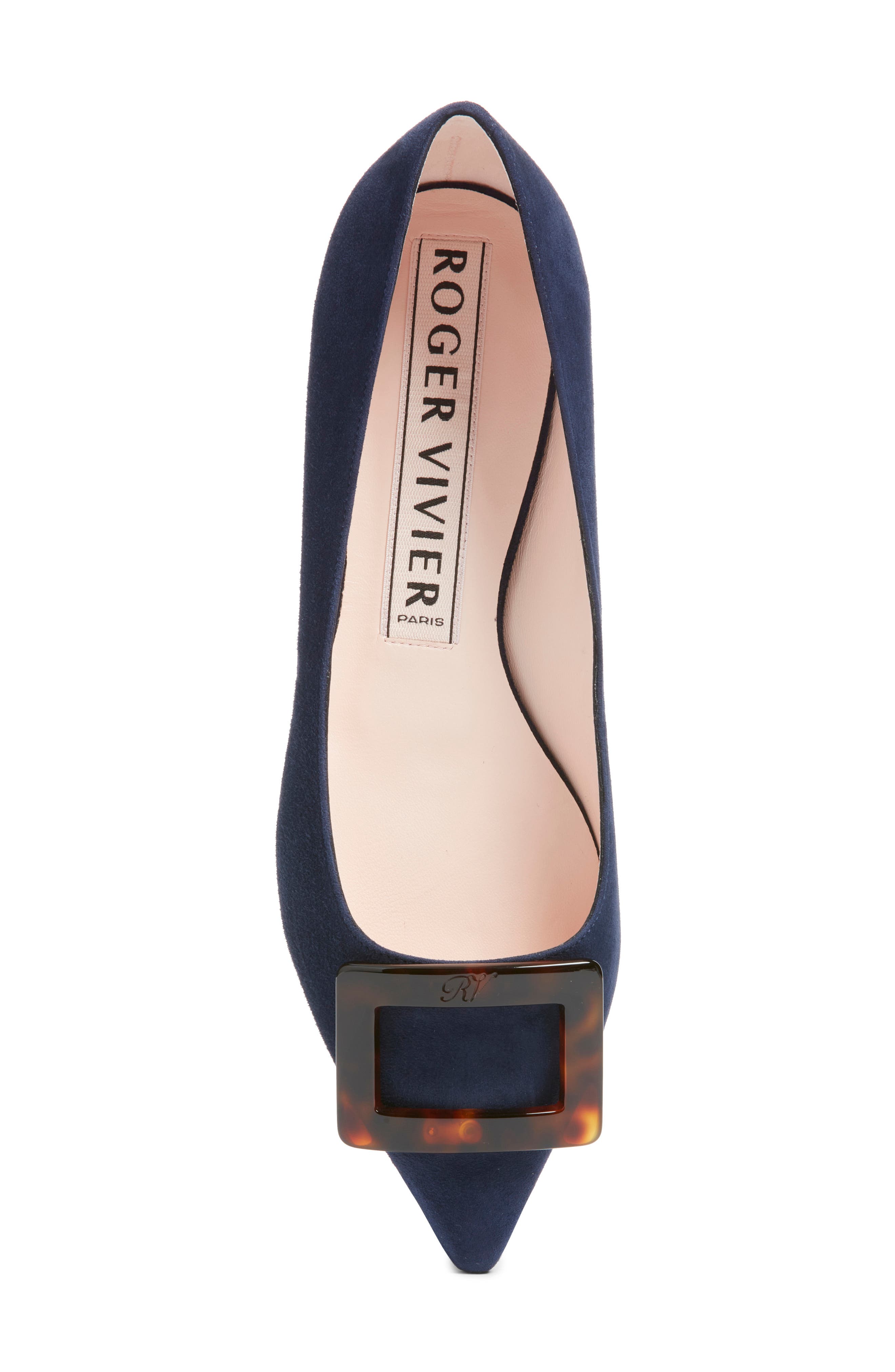 Roger Vivier Gommettine Pointed Toe Ballet Flat, Alternate, color, Galassia Scuro