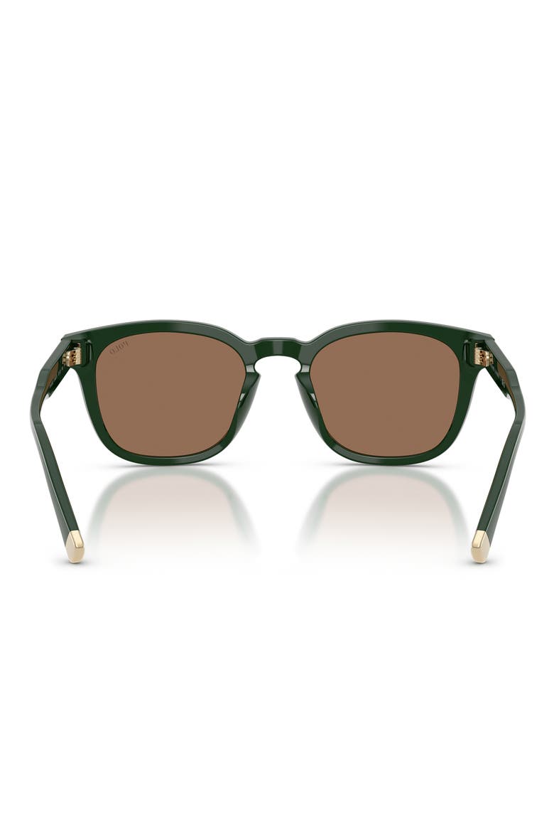52mm Square Sunglasses, Alternate, color, SHINY DARK GREEN / DARK BROWN