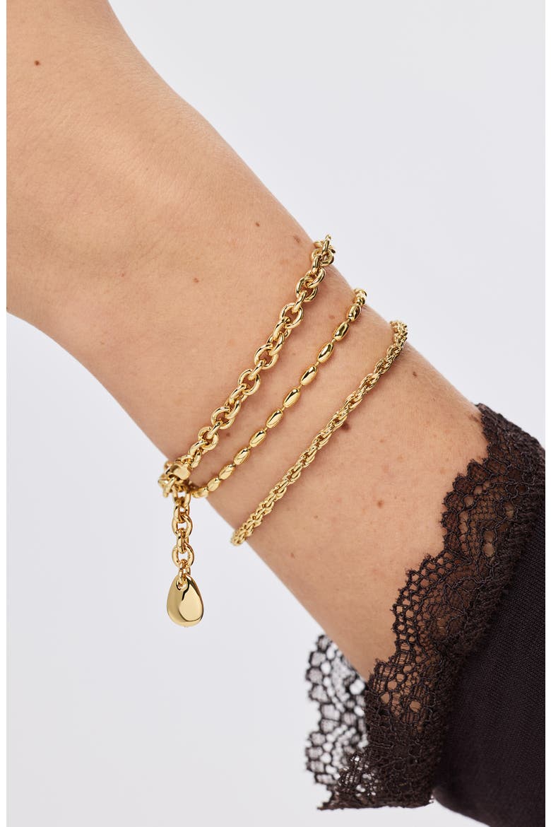 Gold Charm Bracelet - Pebble Charm Bracelet, Alternate, color, Gold