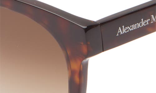 Alexander Mcqueen Mcqueen 54mm Round Sunglasses In Havana Havana Brown