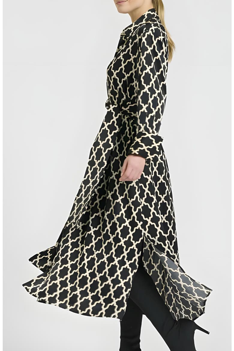 Amelie Print Cotton Shirtdress, Alternate, color, MOROCCAN PRINT