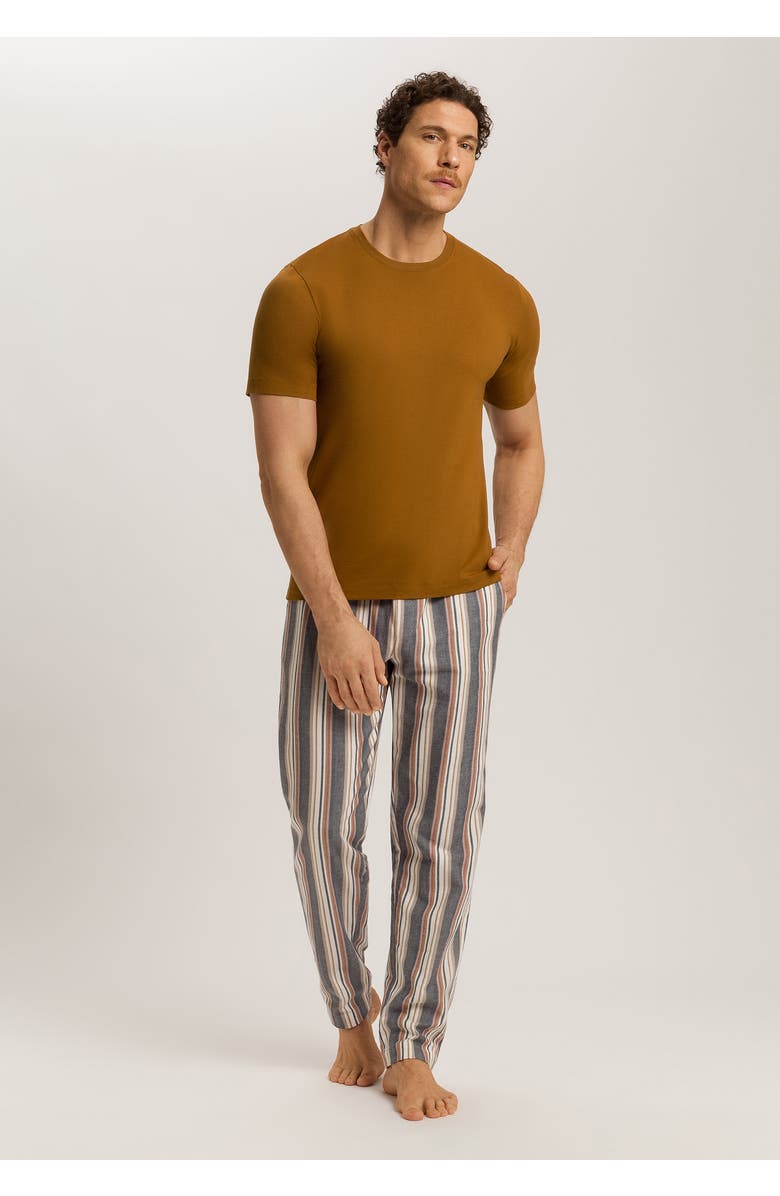 Hanro Cozy Comfort 100% Woven Cotton Flannel Pants, Alternate, color, Redwood Stripe