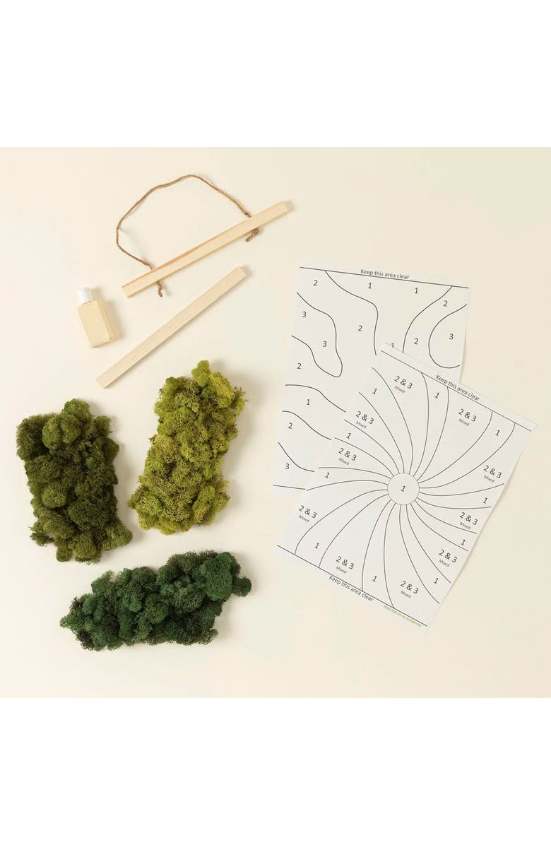 Uncommon Goods Moss Art by Numbers by Moss Art by Numbers, Alternate, color, Olive Green