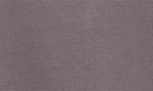 Carhartt Work In Progress Rivet Script Cotton Sweatshirt In Manta